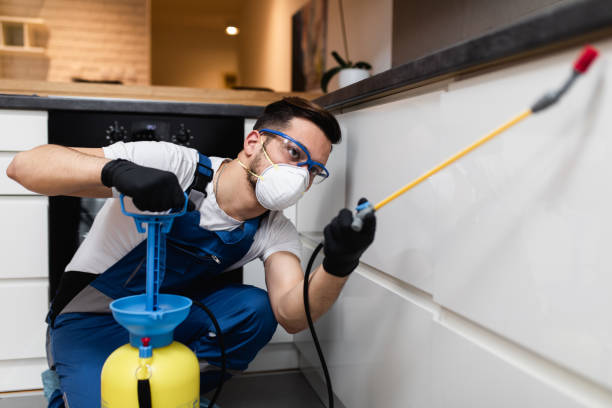Best Pest Prevention Services  in Hurst, TX