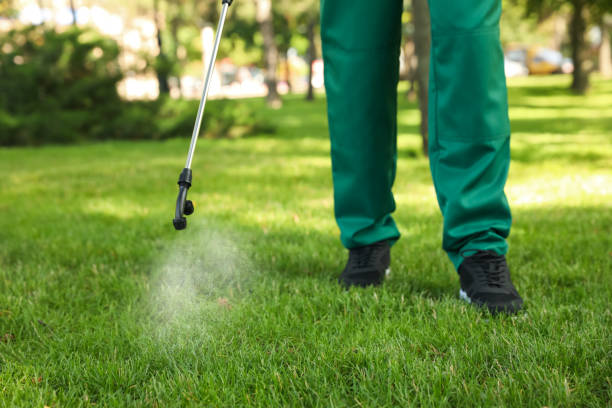 Best Flea Control Services  in Hurst, TX