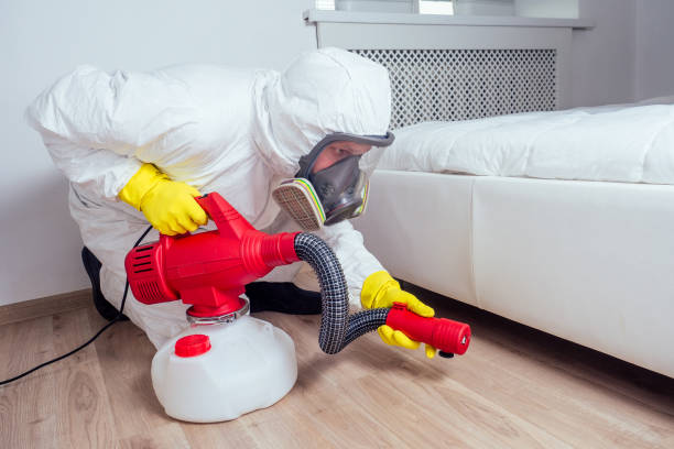 Best Pest Control Near Me in Hurst, TX