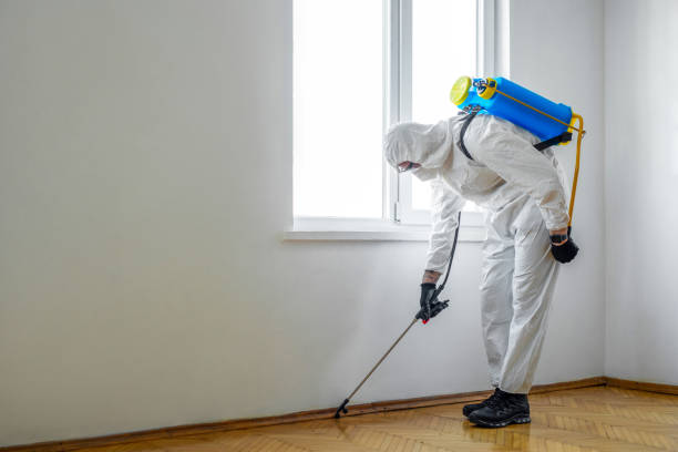 Best Local Pest Control Services  in Hurst, TX