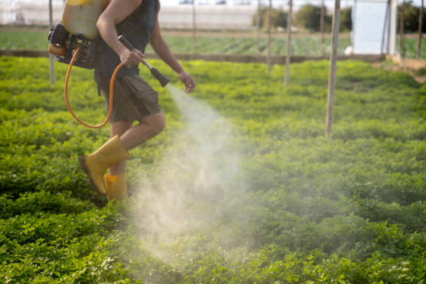 Best Affordable Pest Control Services  in Hurst, TX