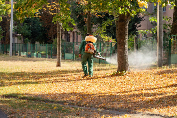 Best Residential Pest Control  in Hurst, TX